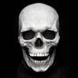 Realistic Halloween Skull Mask with Movable Jaw